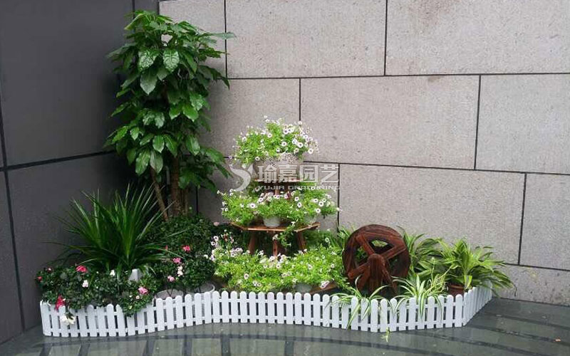 ��ɽ����ֲ�����ް���